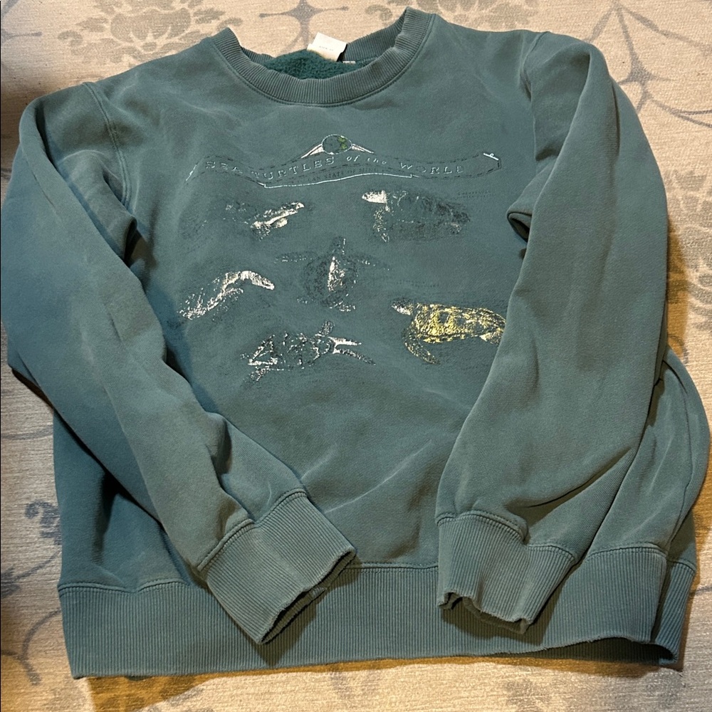 Ghanda womens Blue Graphic Crewneck Sweater